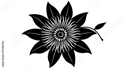 Discover the Beauty Passionflower Vector Art for Stunning Designs