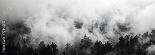 Clouds in the forest, banner
