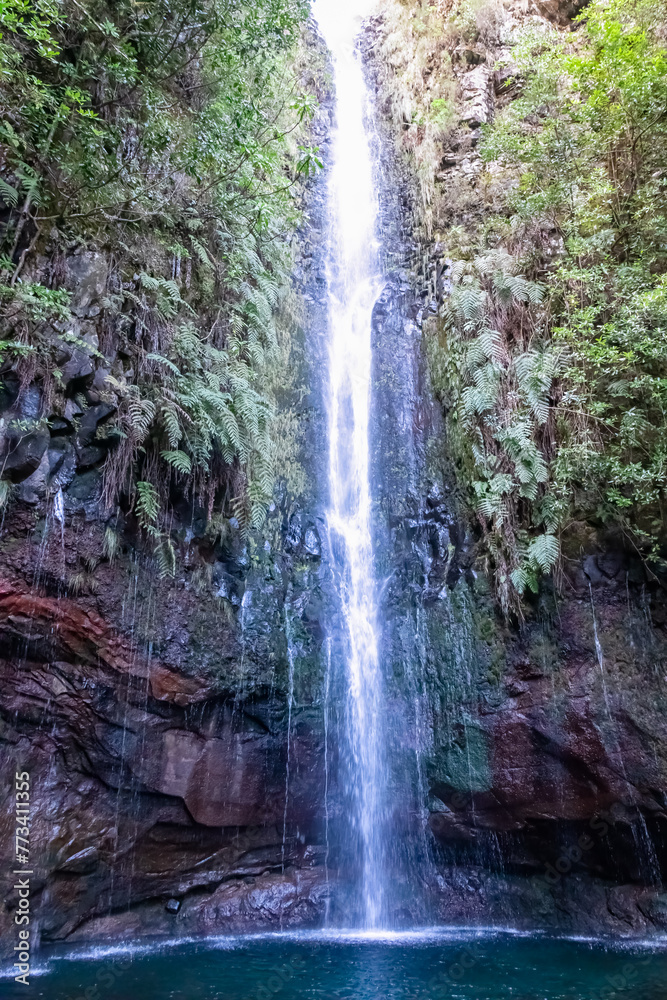Obraz premium Scenic view of majestic waterfall Cascata das 25 Fontes along idyllic Levada walk in evergreen subtropical Laurissilva forest of Rabacal, Madeira island, Portugal, Europe. Clear plunge basin below