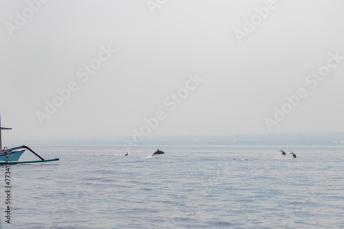 BALI, LOVINA, INDONESIA - NOVEMBER 10, 2023: Tourists looking for dolphins from boats at Lovina beach of Bali. Popular activities for visitors include early-morning boat trips to see dolphins.