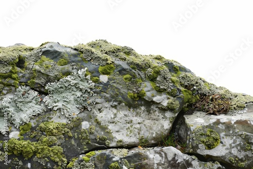 Vintage stone texture with moss and lichen, isolated on white background, natural rock pattern photo