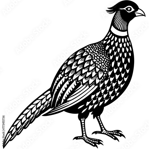  pheasant silhouette vector art illustration