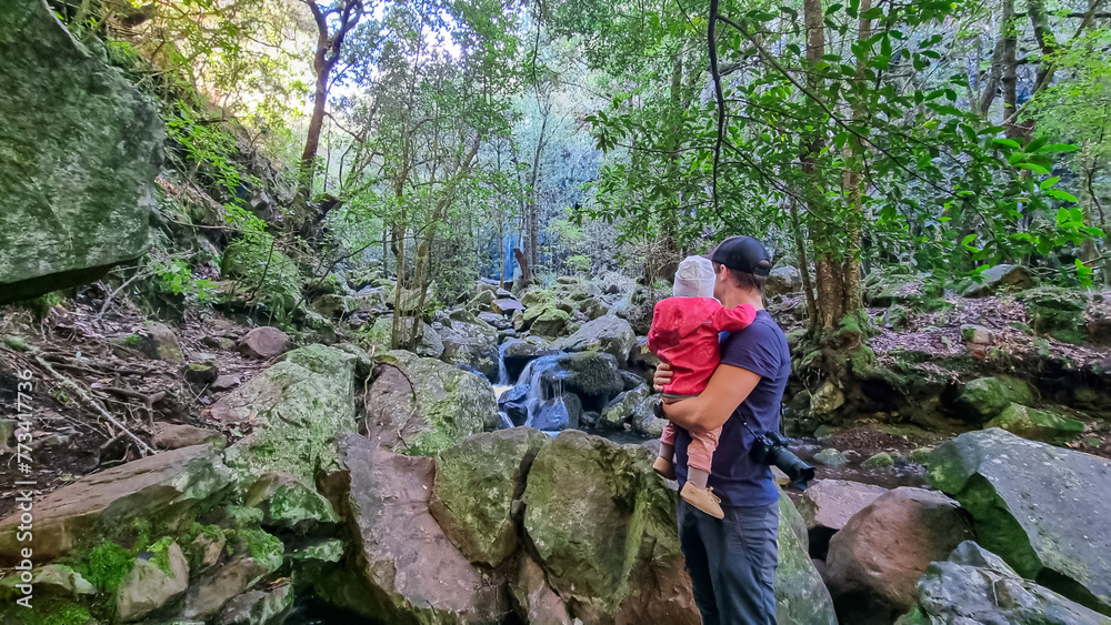 Man with camera holding a baby with panoramic view of ricer and waterfall in ancient subtropical Laurissilva forest of Fanal, Madeira island, Portugal, Europe. Idyllic hiking trail along laurel trees Man with camera holding a baby with panoramic view of ricer and waterfall in ancient subtropical Laurissilva forest of Fanal, Madeira island, Portugal, Europe. Idyllic hiking trail along laurel trees