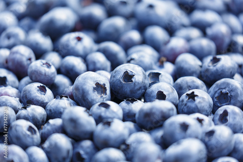 fresh ripe blueberries as background © Nitr