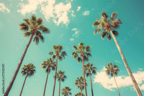 Several palm trees stand tall against a clear blue sky, their fronds swaying gently in the breeze © pham