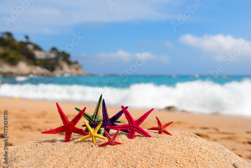 Tropical starfishes at the beach