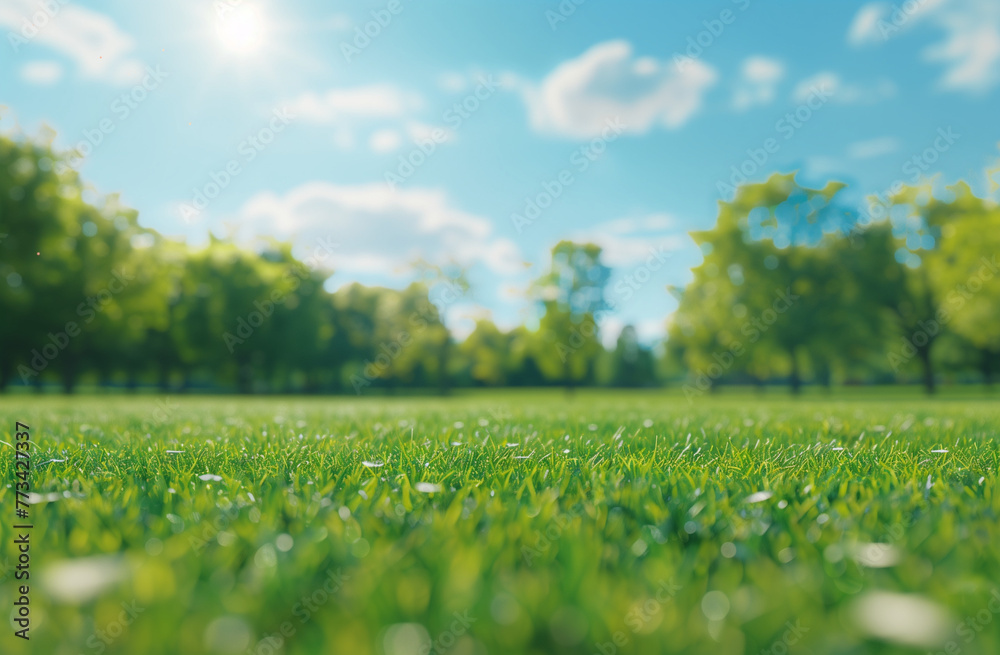 Fototapeta premium Beautiful blurred background of spring nature green grass meadow in a park on a sunny day with bokeh, banner for copy space, generative ai
