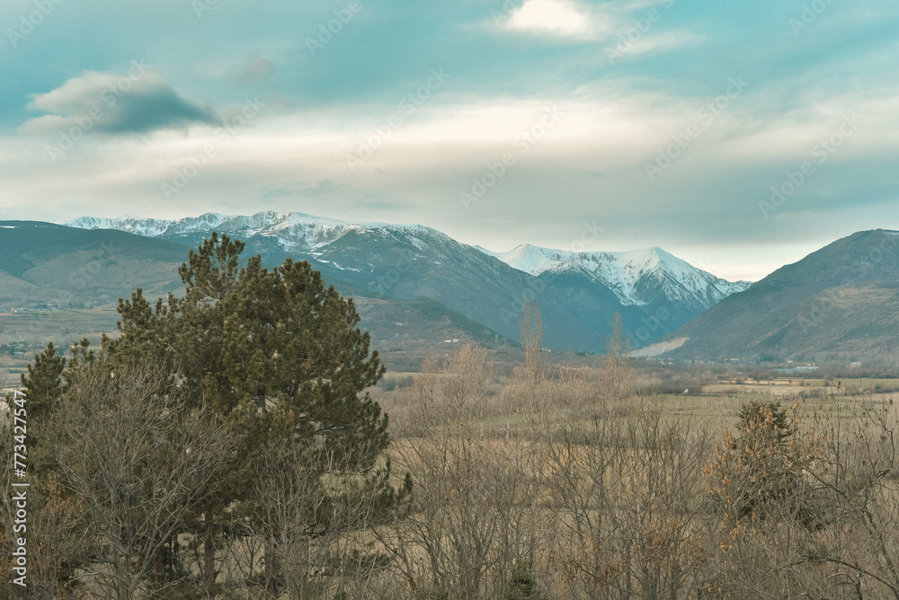 A snow-capped mountain range looms in the distance, with a tree and barren trees in the foreground. Photo depicts simplicity of nature but its vastness at the same time