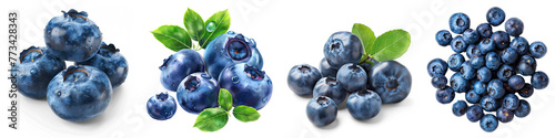 Collection of blueberries cutout png clipping path isolated on white or transparent background photo