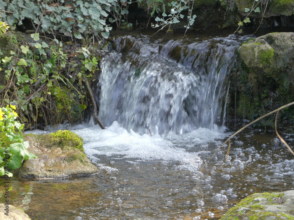Fototapeta premium Jolie cascade dans un jardin
