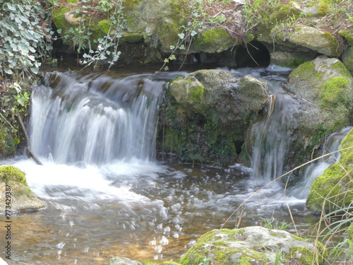 Jolie cascade dans un jardin