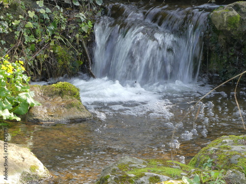 Jolie cascade dans un jardin