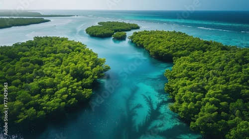 A peaceful coastal inlet, with mangrove forests providing vital habitat for marine life, emphasizing the value of coastal conservation.