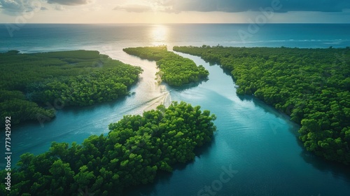 A peaceful coastal inlet, with mangrove forests providing vital habitat for marine life, emphasizing the value of coastal conservation. © TheNoteTravel