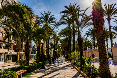 explanada  promenade in Alicante spain. photo