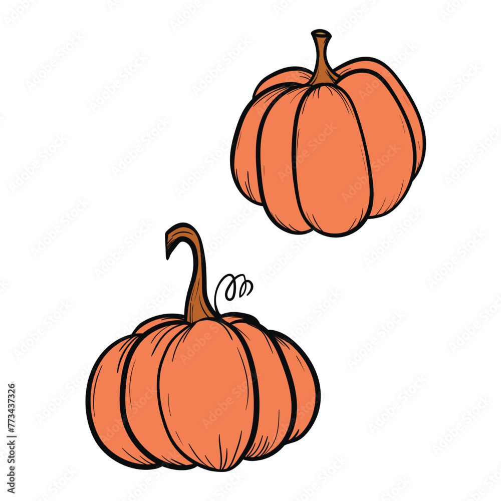 Vector hand drawn sketched pumpkin. Autumn illustration for holidays, Halloween. Various food items in doodle style