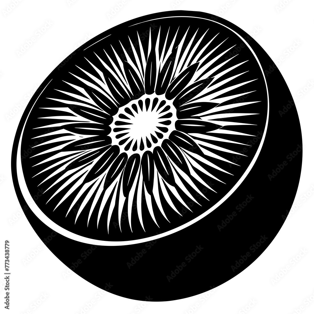 kiwi silhouette vector art illustration
