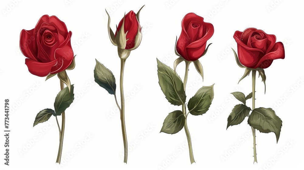Obraz premium Red Rose Flowers Isolated on White Background, Romantic Love Symbol, Digital Illustration Set