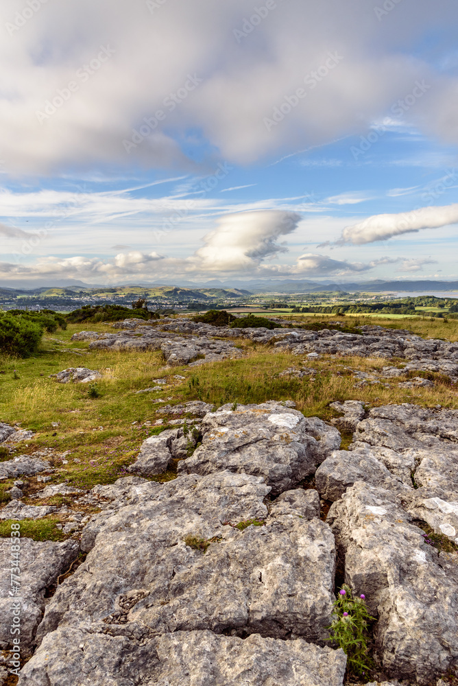 Panoramic view from the top of Birkrigg Common, looking towards the town of Ulverston. 