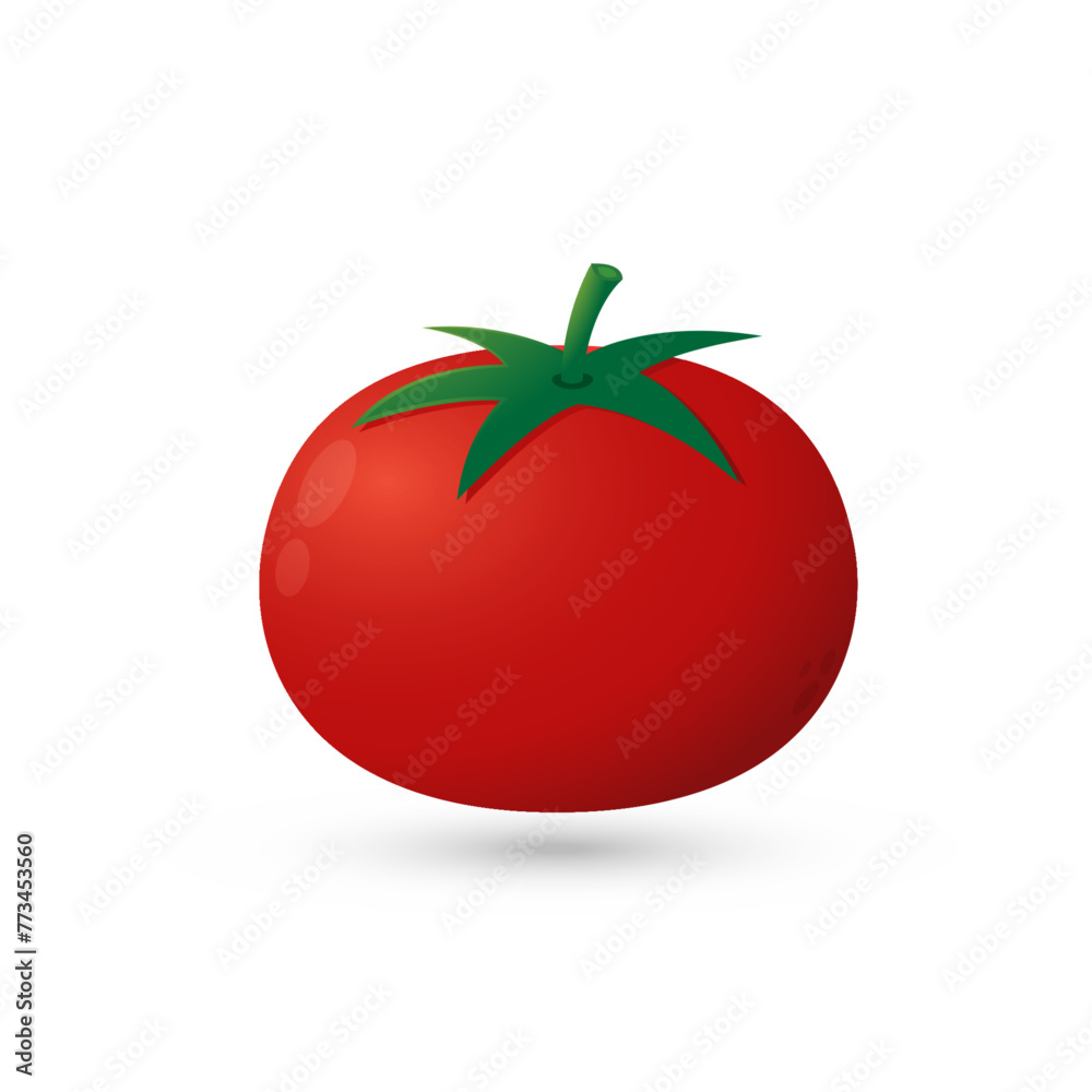 Tomato on white background. Vector illustration of fresh tomato. Tomato on white background. Vector illustration of fresh tomato.