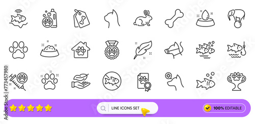 Feather  Elephant on ball and Fish line icons for web app. Pack of Dog paw  Pets care  Water bowl pictogram icons. Dog certificate  Pet friendly  Stop fishing signs. Pet shelter. Search bar. Vector