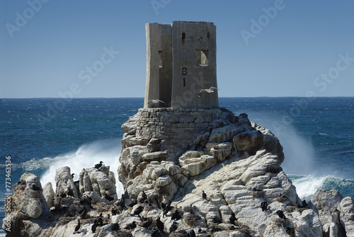 Whaling Station Ruins and Cormorant Colony, Betty's Bay, South Africa