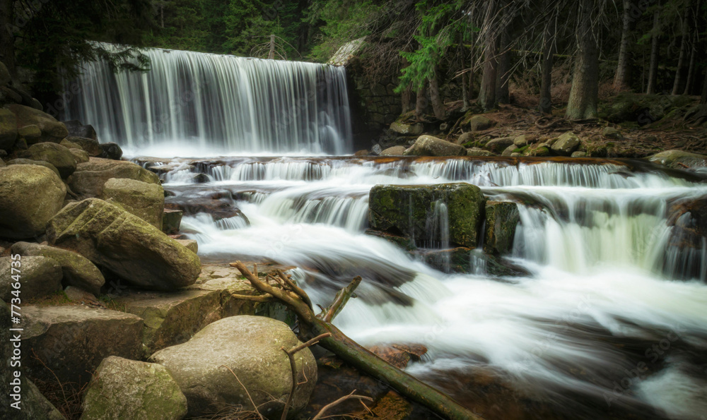 Obraz premium waterfall in the forest