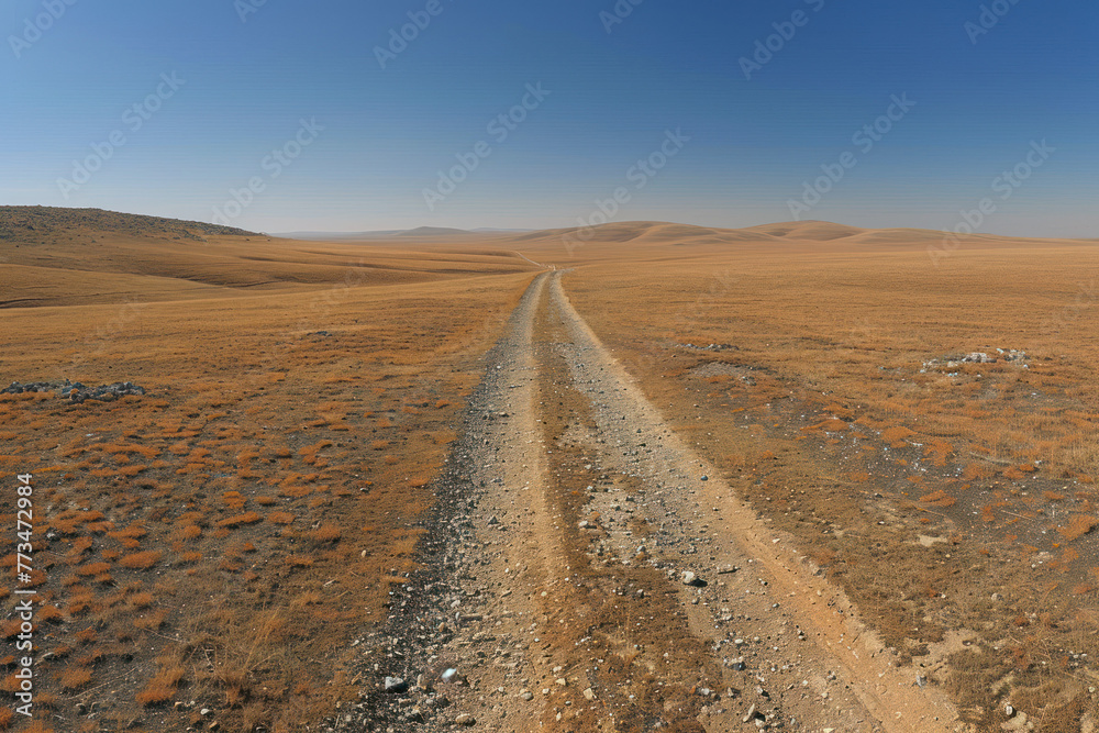 Solitary Stretch of Desert Road, road adventure, path to discovery, holliday trip, Aerial view Solitary Stretch of Desert Road, road adventure, path to discovery, holliday trip, Aerial view