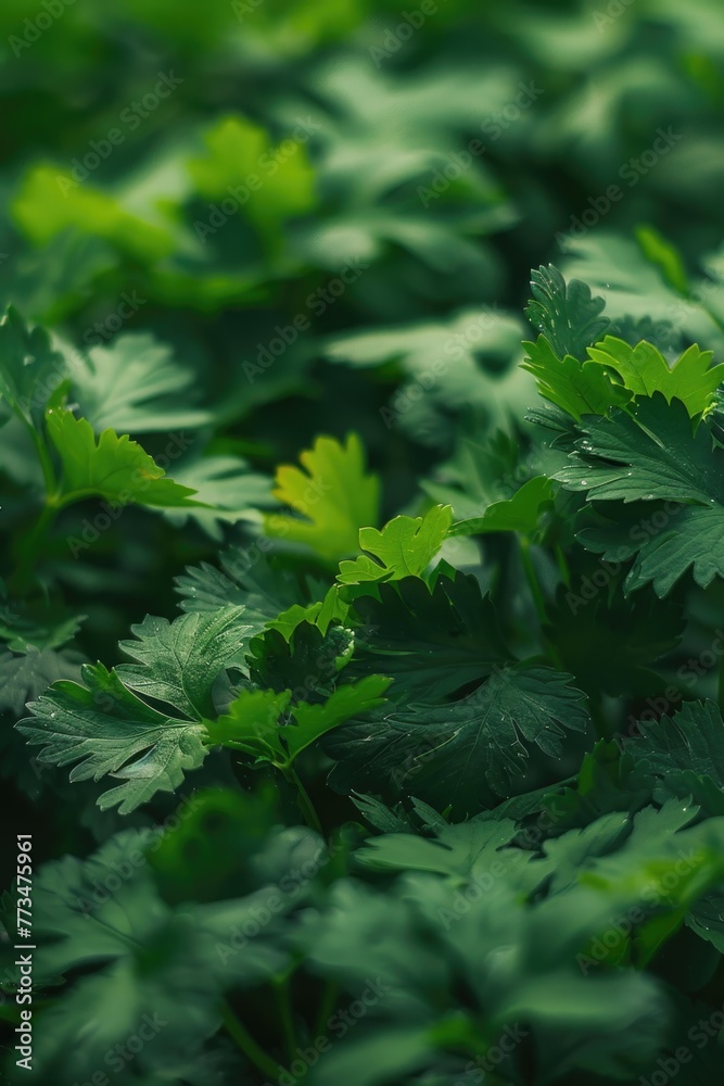 Close up of vibrant green leaves, perfect for nature backgrounds Close up of vibrant green leaves, perfect for nature backgrounds