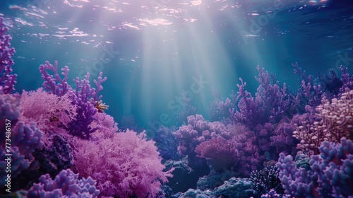 Colorful coral reef with sunbeams, ideal for marine themes © Fotograf