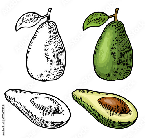 Whole and half avocado with seed and leaf. Vector color and black vintage engraving and flat illustration for menu, poster. Isolated on white background © MoreVector