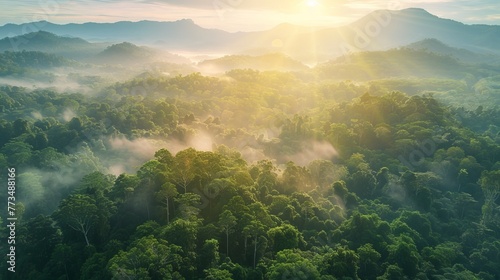 An aerial top view captures the lush forest canopy, representing the rainforest ecosystem and the concept of a healthy environment. The texture of green tree tops is visible from above,  © Azad