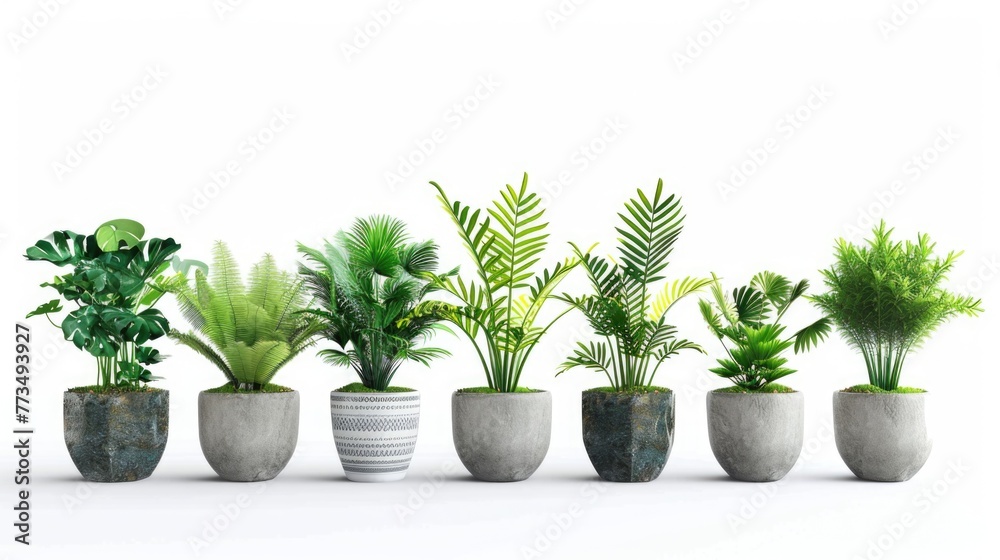 Fototapeta premium A row of potted plants on a clean white surface, ideal for interior design projects