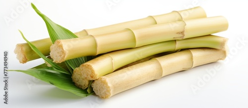 Several bamboo sticks with green leaves clustered together in a close-up shot  showcasing the natural beauty of the plant