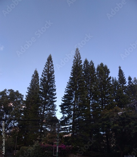 Paisajes por toda Guatemala.