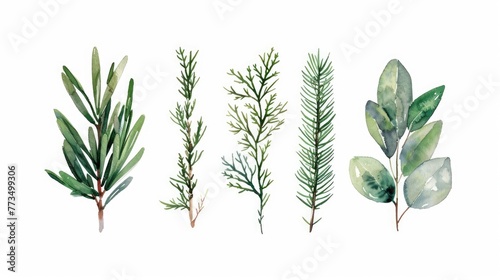 Assorted herbs on a clean white surface, perfect for culinary or health-related concepts