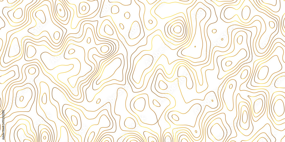 Naklejka premium Topographic map and landscape terrain texture grid. Abstract lines background. Contour maps. Vector illustration. golden and white topographic contours lines of mountains. 