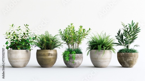 Wallpaper Mural A row of potted plants on a clean white surface. Suitable for interior design projects Torontodigital.ca