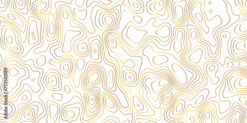 Topographic map and landscape terrain texture grid. Abstract lines background. Contour maps. Vector illustration. golden and white topographic contours lines of mountains. 