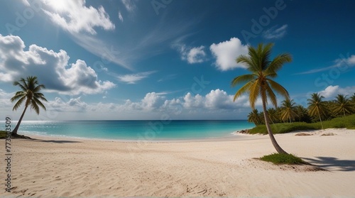 Palm trees and sea  sunny summer day in the Atlantic ocean. Punta Cana Dominican republic Caribbean Sea and sky and beach landscape. Big white waves lie on a wild white sand beach.