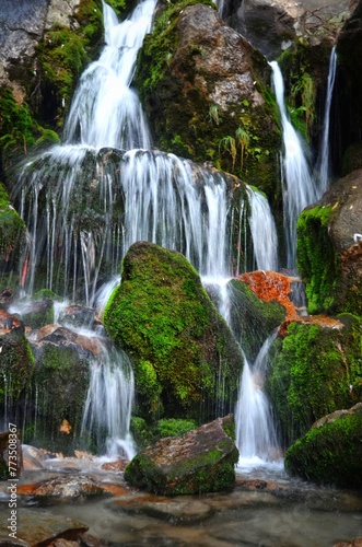 waterfall in the forest