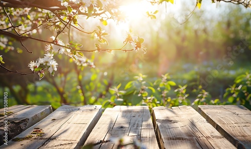 Scenic Spring Setting, Fresh foliage & blossoms adorn outdoor wooden table under sunlight in garden
