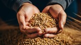 A persons hands holding a handful of grain
