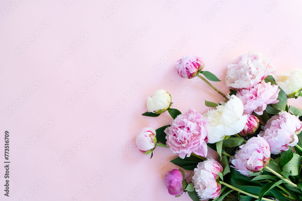 Beautiful fresh pink and white peony flowers bouquet on pink table, top view and flat lay background - obrazy, fototapety, plakaty 