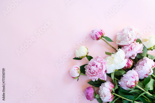 Beautiful fresh pink and white peony flowers bouquet on pink table, top view and flat lay background