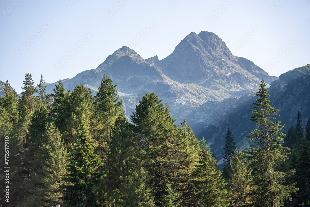 Summer landscape of Rila Mountain near Malyovitsa peak, Bulgaria - obrazy, fototapety, plakaty 