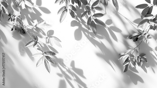 Black and white photo of leaves on a wall, suitable for nature or abstract backgrounds