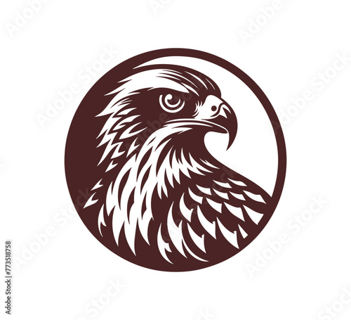 Red-tailed hawk hand drawn vector illustration