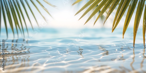 Tropical beach background with palm leaf. Copy space for text