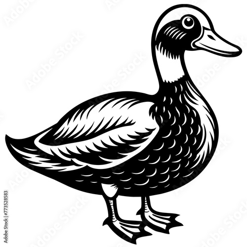 duck silhouette vector art illustration